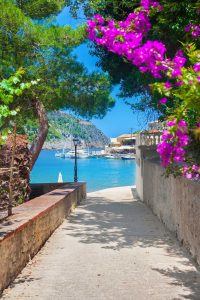 Semi Private Half Day Tour – Kefalonia Highlights